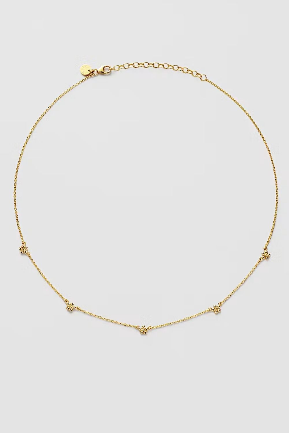 Daisy Flower Necklace 24k Gold Plated i gruppen Gullbelagt ekte sølv / Gullbelagte halskjeder hos Glitter (554004432002)