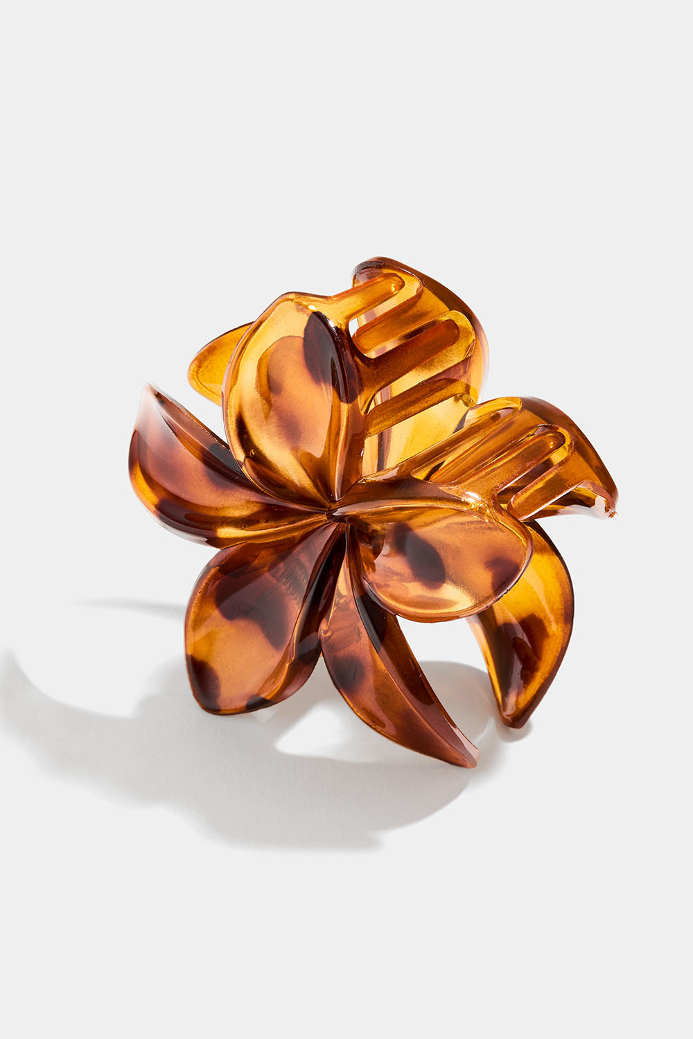 Blomsterklemme, skilpadde